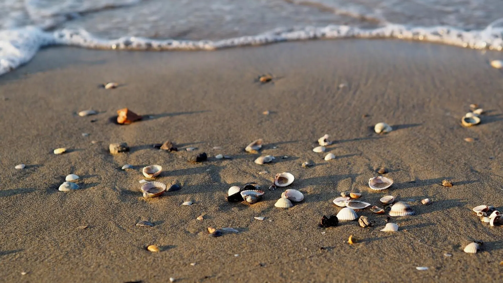 Quiet Charm Near The Beach - Beahost إيطاليا